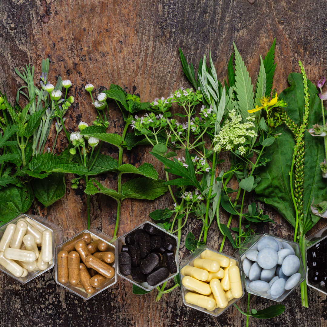 Initial Wellness Consultation